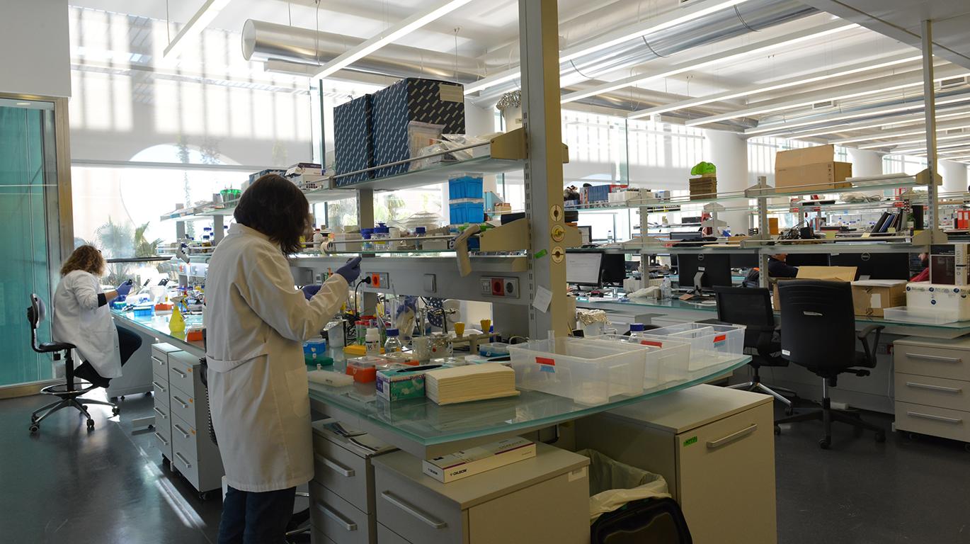 Molecular and Transgenic Tools Platform