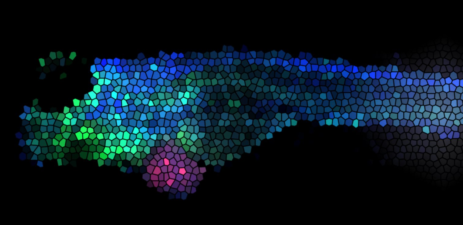 Cancer development and innate immune evasion