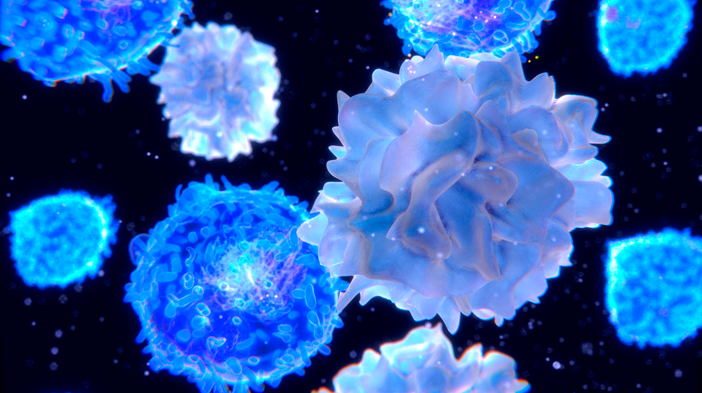 Myeloma Lymphoma Research Programme