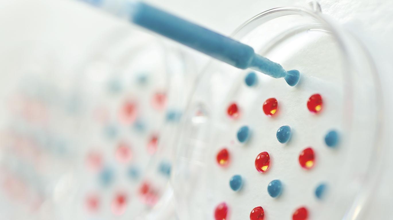 Behavior and Metabolism