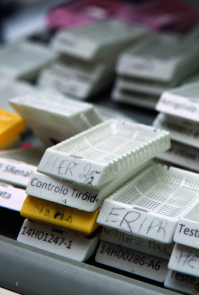 Investigação Clínica