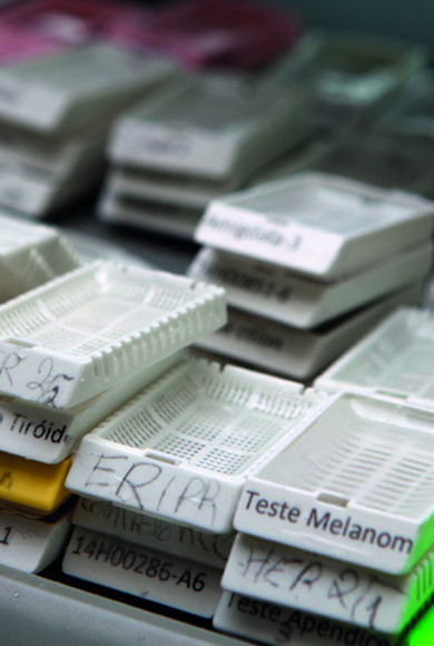 Investigação Clínica