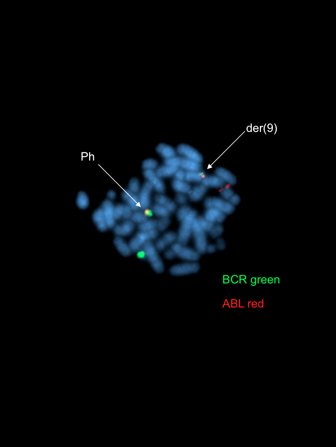 Investigação Clínica
