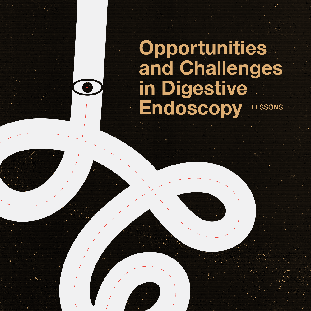 Opportunities and Challenges in Digestive Endoscopy - Lessons