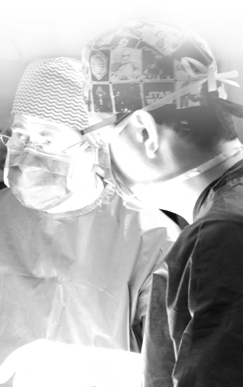 Conselho Científico