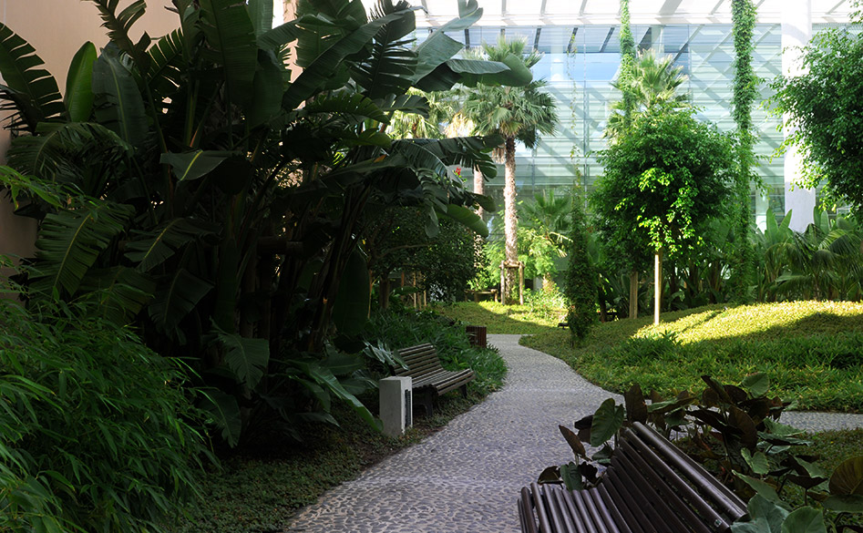 Jardim Tropical Interior