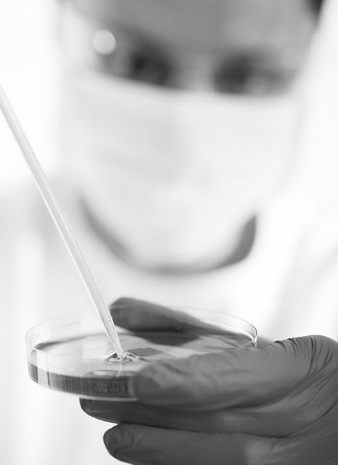 Conselho Científico