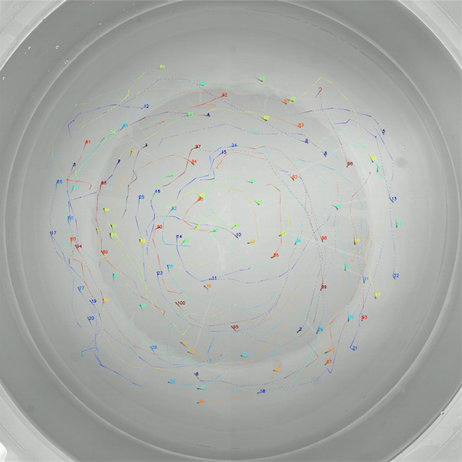 Onde está o George?