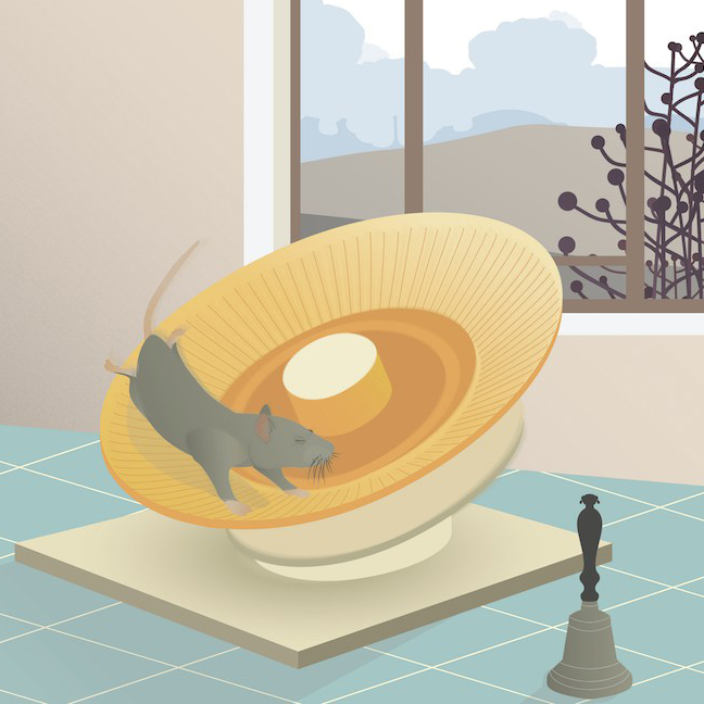 Quem corre mais depressa aprende melhor