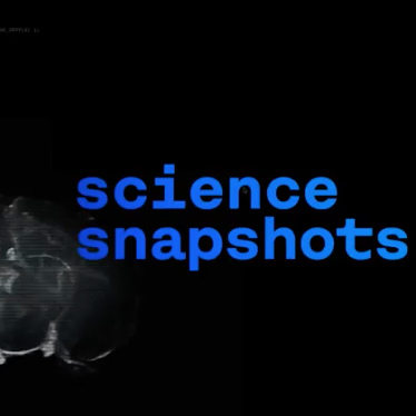 Science snapshot: micróbios controlam a mente