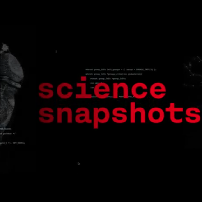 Science snapshot: quem corre mais depressa aprende melhor