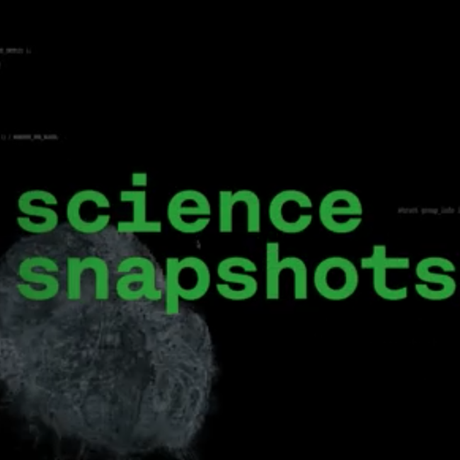 Science snapshot: navegar mundos virtuais
