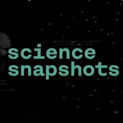Science snapshot: Compreender o comportamento coletivo