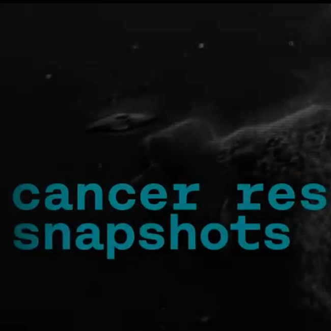 Science snapshot: Competir contra o cancro